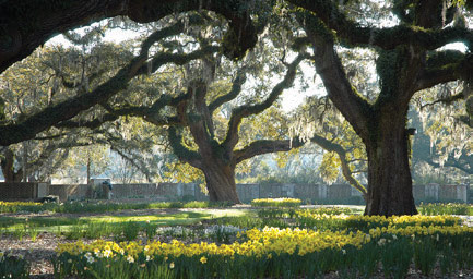 Brookgreen Gardens. Murrells Inlet, SC.