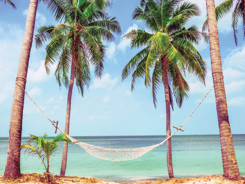 A hammock at the beach