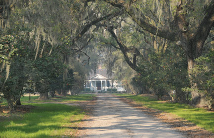 Mansfield Plantation. Georgetown, SC.