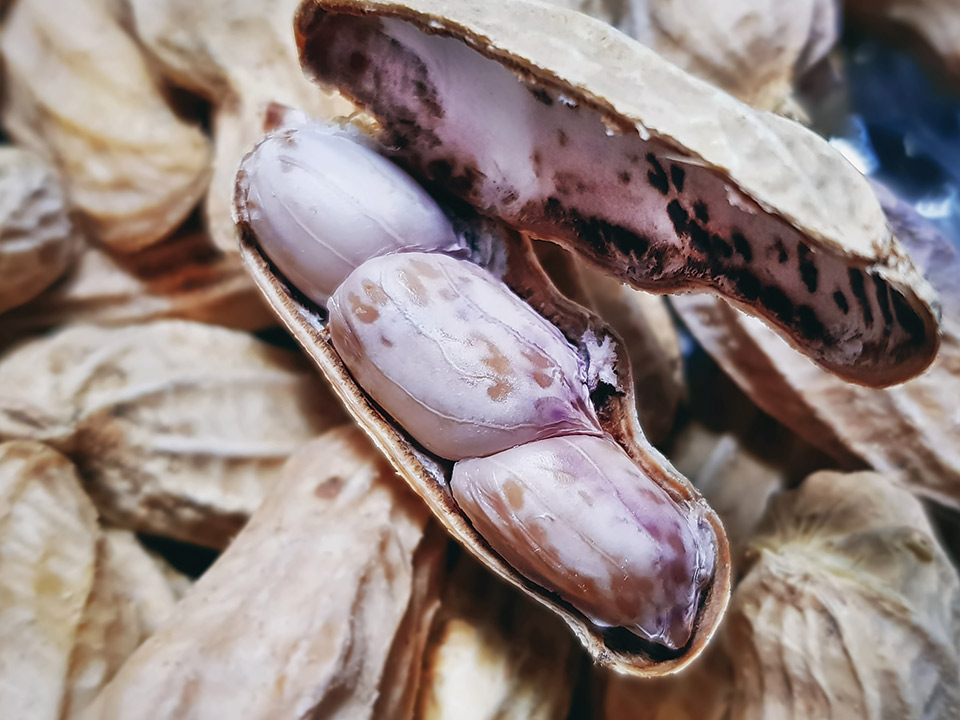 Boiled Peanuts