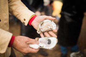 Lowcountry Oyster Festival: Boone Hall Plantation