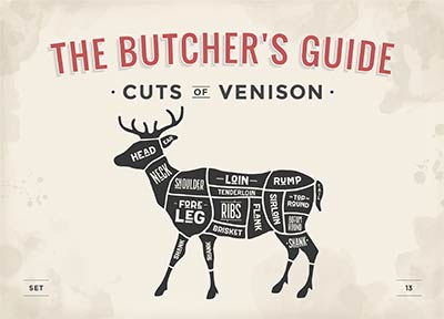 butcher's guide to cuts of venison