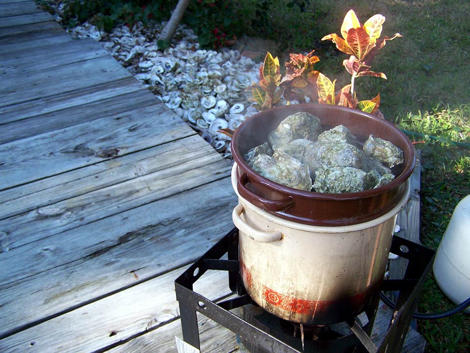 Oven Oyster Roast